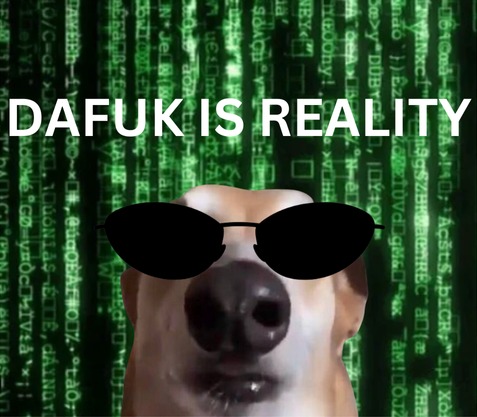 Meme 5