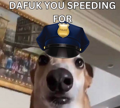 Meme 9